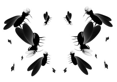 kan susamış sivrisinek