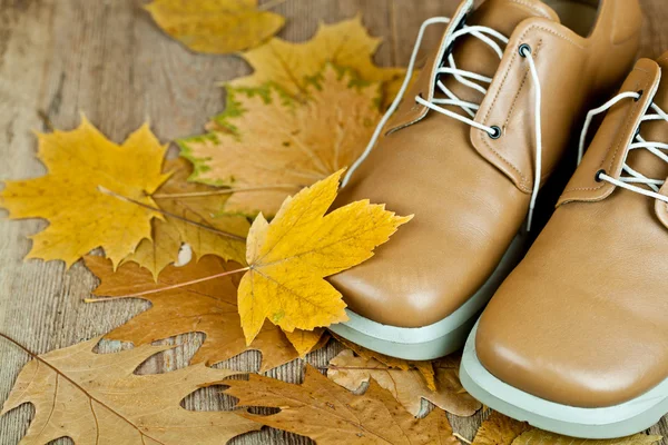 Deri ayakkabı ve sarı yapraklar — Stok fotoğraf
