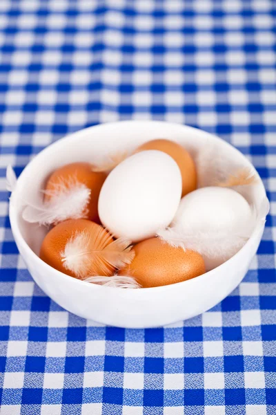 Eggs and feathers in a bowl — Stock Photo, Image