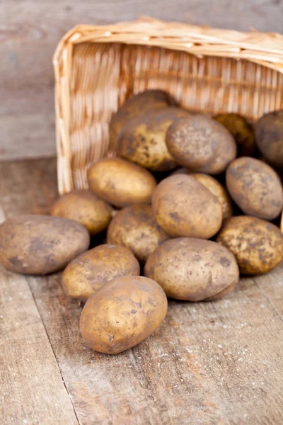 Basket with fresh potatoes — Stock Photo, Image