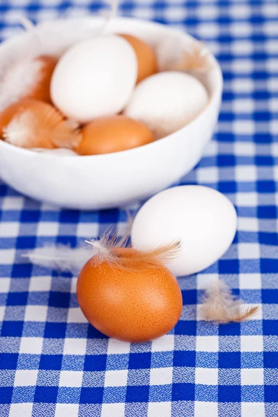Jaja i piór — Zdjęcie stockowe