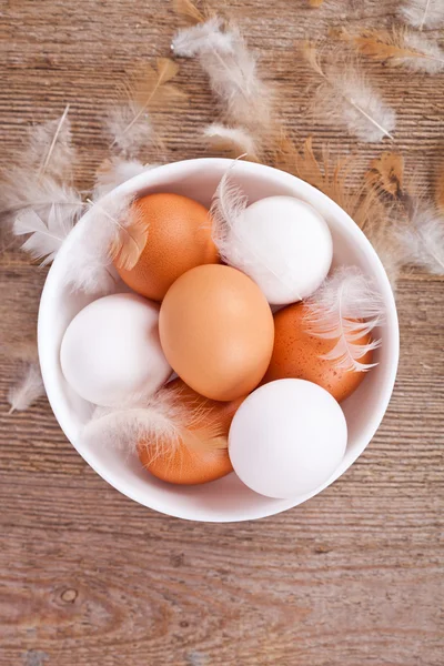 Ägg och fjädrar på träbord — Stockfoto