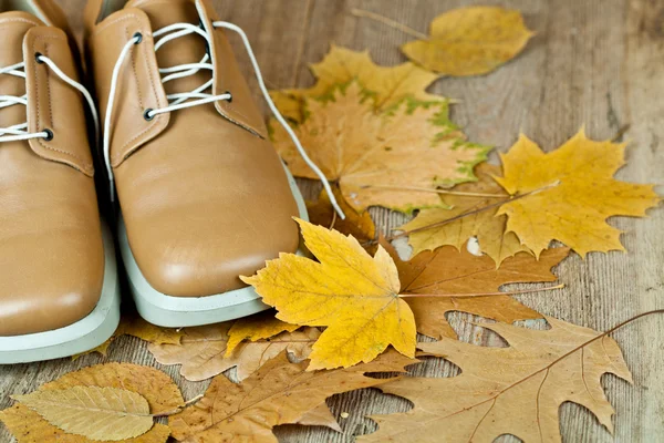 Leather shoes and yellow leaves — Stock Photo, Image