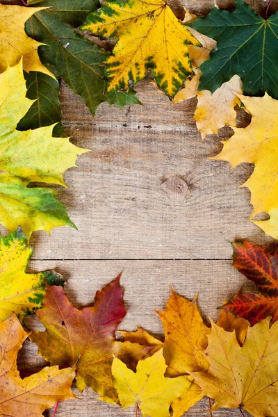 Foglie d'autunno telaio — Foto Stock