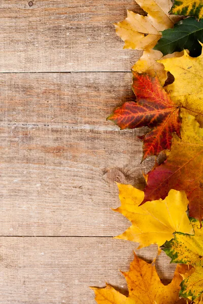 Herbstblätter — Stockfoto