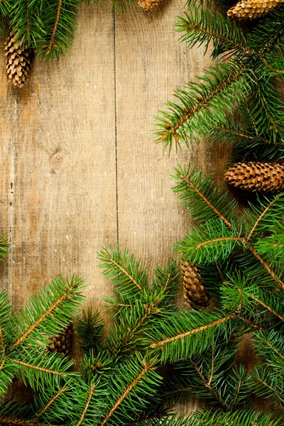 Pinecones ile Noel köknar ağacı — Stok fotoğraf