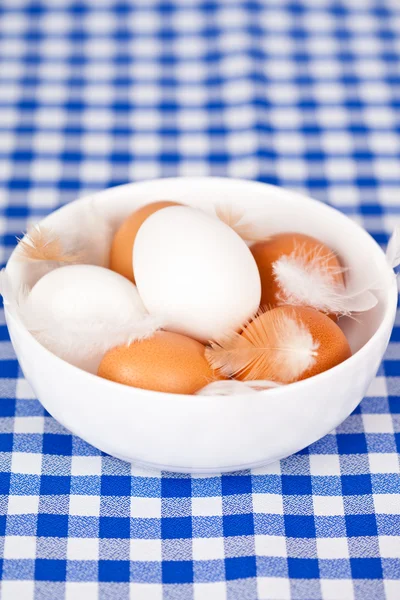 Ovos e penas em uma tigela — Fotografia de Stock