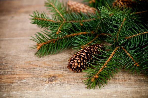 Pinecones ile Noel köknar ağacı — Stok fotoğraf