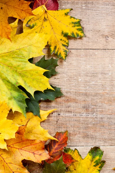 Hojas de otoño sobre fondo de madera — Foto de Stock