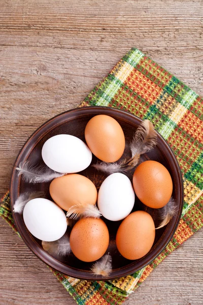 Üç yumurta ve tüy — Stok fotoğraf