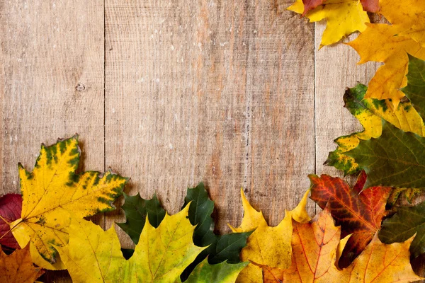 Herfstbladeren — Stockfoto