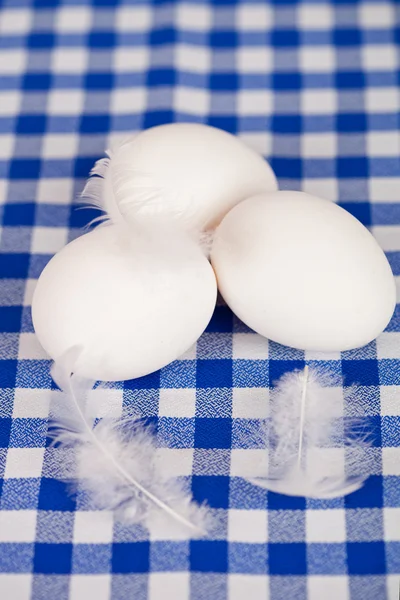 Três ovos e penas — Fotografia de Stock