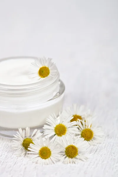 Contenitore con crema e camomilla — Foto Stock