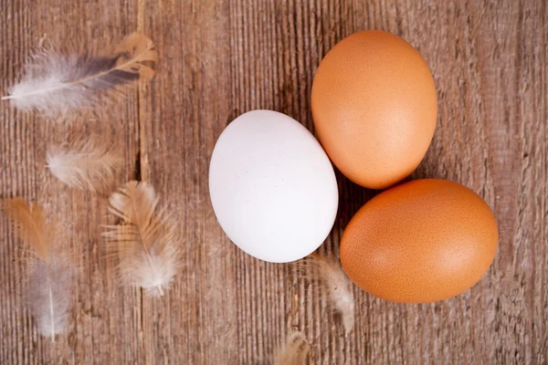 Três ovos e penas — Fotografia de Stock