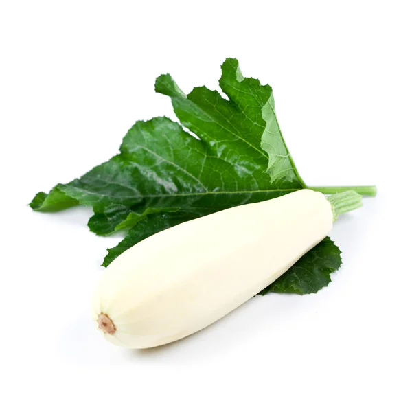 Fresh zucchini with green leaf — Stock Photo, Image