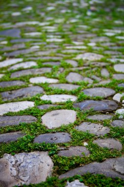 bir kaldırım üzerinde moss ile kömür topakları