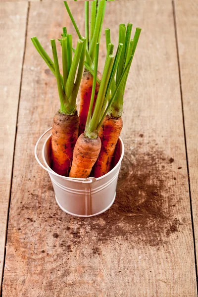 Fresh carrots bunch in white bucket — Stock Photo, Image