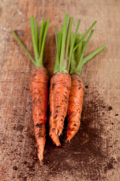 Ramo de zanahorias frescas — Foto de Stock