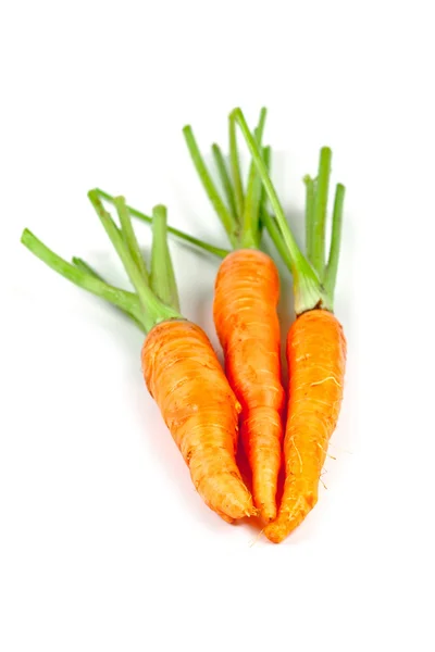 Carrot vegetable with leaves — Stock Photo, Image