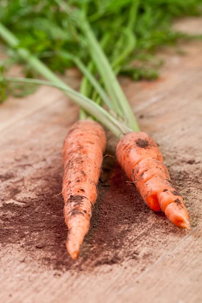 Frische Möhrenbüschel — Stockfoto