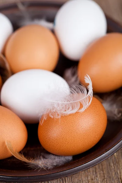 Jaja i pióra w płycie — Zdjęcie stockowe