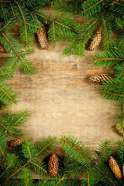 Pinecones ile Noel köknar ağacı — Stok fotoğraf