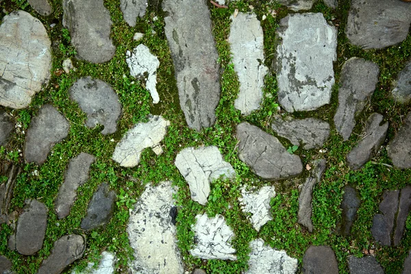 Pavés de mousse sur un trottoir — Photo