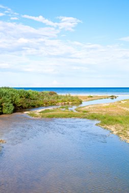 nehir, kıyı şeridi ve mavi deniz