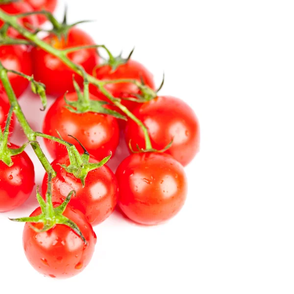 Tomates cereja frescos — Fotografia de Stock