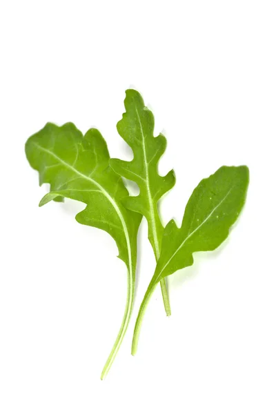 Feuilles de rucola fraîches — Photo