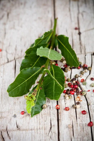 Fresh laurel and peppercorns — Stock Photo, Image