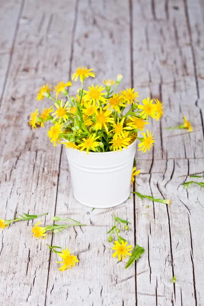 Wild yellow flowers in bucket — Stock Photo, Image