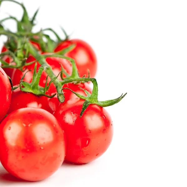 Fresh organic cherry tomatoes — Stock Photo, Image