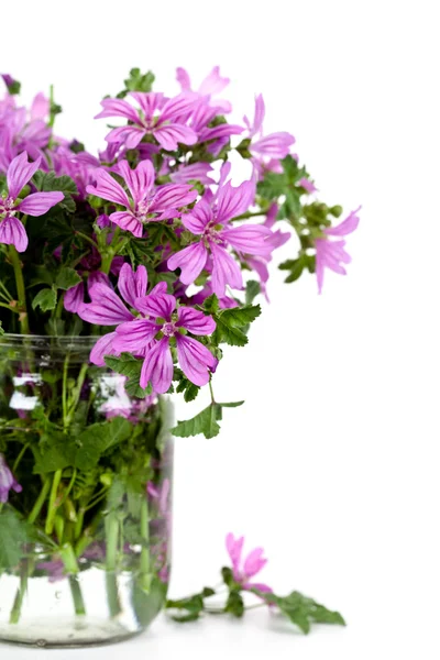 Wild violet flowers in glass jar — Stock Photo, Image