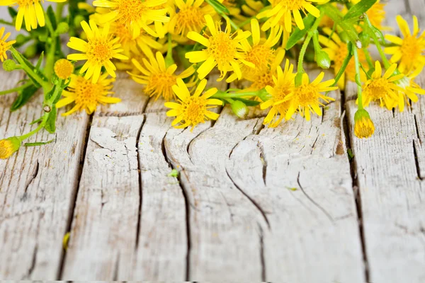 Gele bloemen close-up op rustieke houten achtergrond — Stockfoto