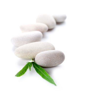 green leaf and stones