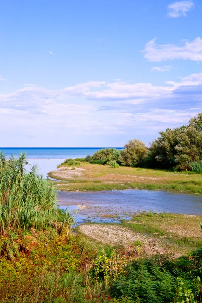 Річка, берегова лінія і блакитне море — стокове фото