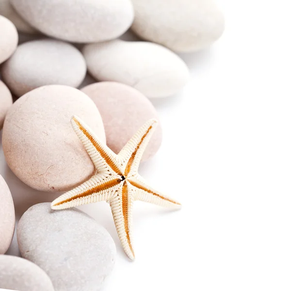 돌과 바다 스타의 더미 — 스톡 사진
