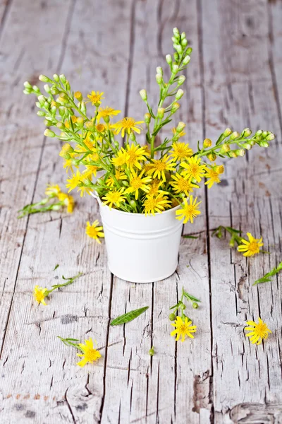 Wild yellow flowers in bucket — Stock Photo, Image