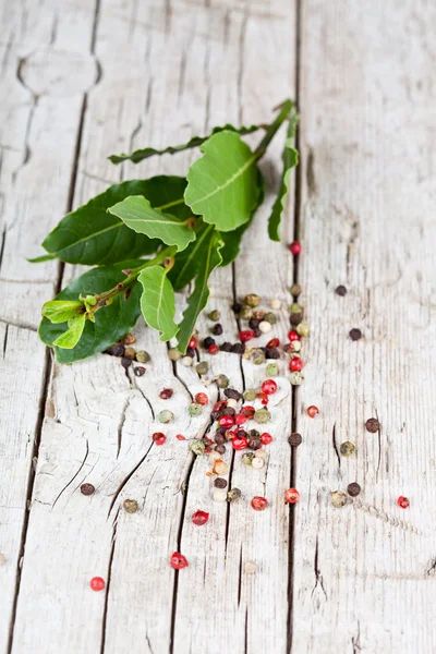 Twig of fresh laurel and peppercorns — Stock Photo, Image