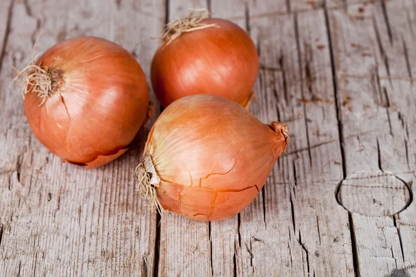 Three fresh onions — Stock Photo, Image