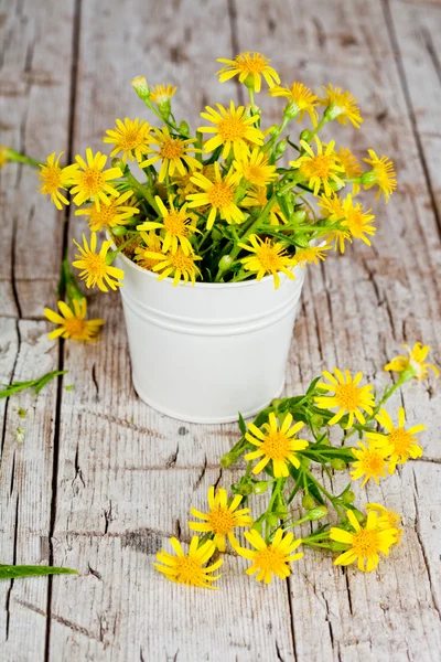 Wild yellow flowers in bucket — Stock Photo, Image