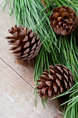 pinecones ile Noel köknar ağacı