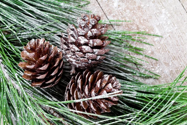 Pinecones ile Noel köknar ağacı — Stok fotoğraf