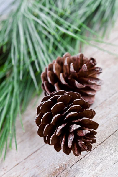 Abeto de Navidad con piñas —  Fotos de Stock