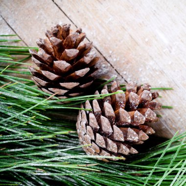 pinecones ile Noel köknar ağacı
