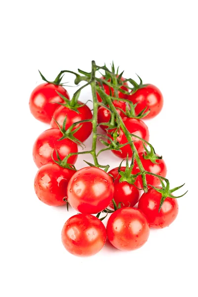Verse organische cherry tomaten — Stockfoto
