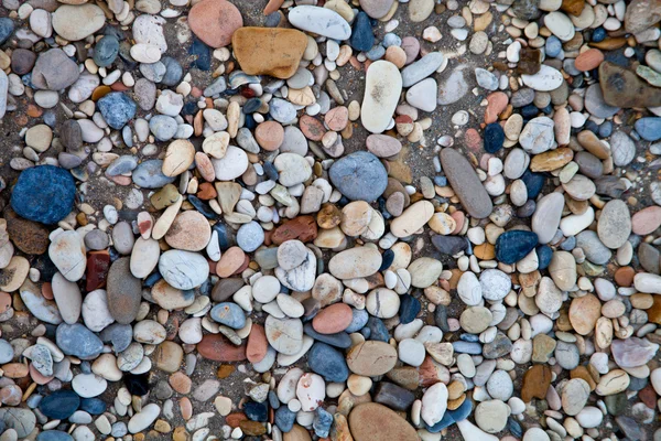 色の海の小石 — ストック写真