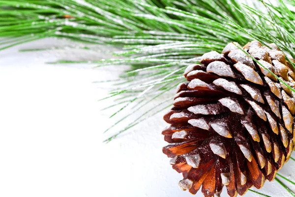 Fir tree branch with pinecone — Stock Photo, Image