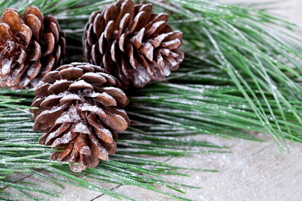 Abeto de Navidad con piñas — Foto de Stock